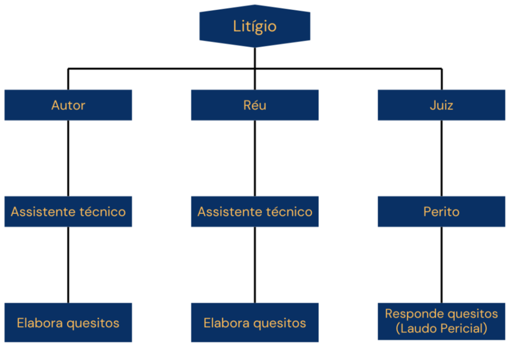 Fluxograma do processo judicial com a relação entre litígio, autor, réu, juiz, assistentes técnicos e perito judicial.