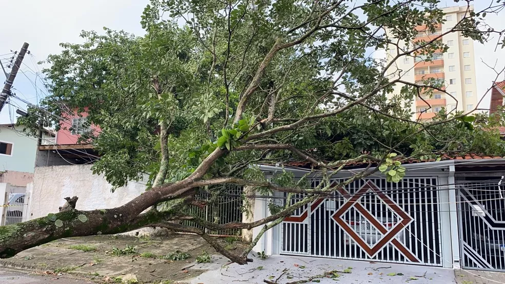 Árvore de grande porte caída sobre a calçada e a fachada de uma residência urbana, atingindo diretamente o telhado da garagem, o portão metálico e pressionando a fiação elétrica da rua, com edifícios ao fundo.