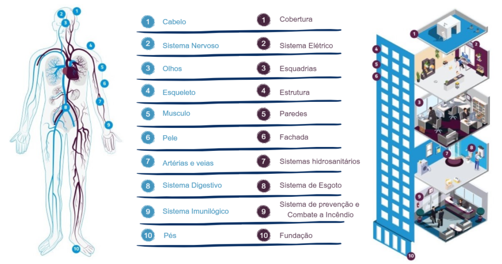 Medicina construtiva: comparação entre sistemas do corpo humano e sistemas de uma edificação